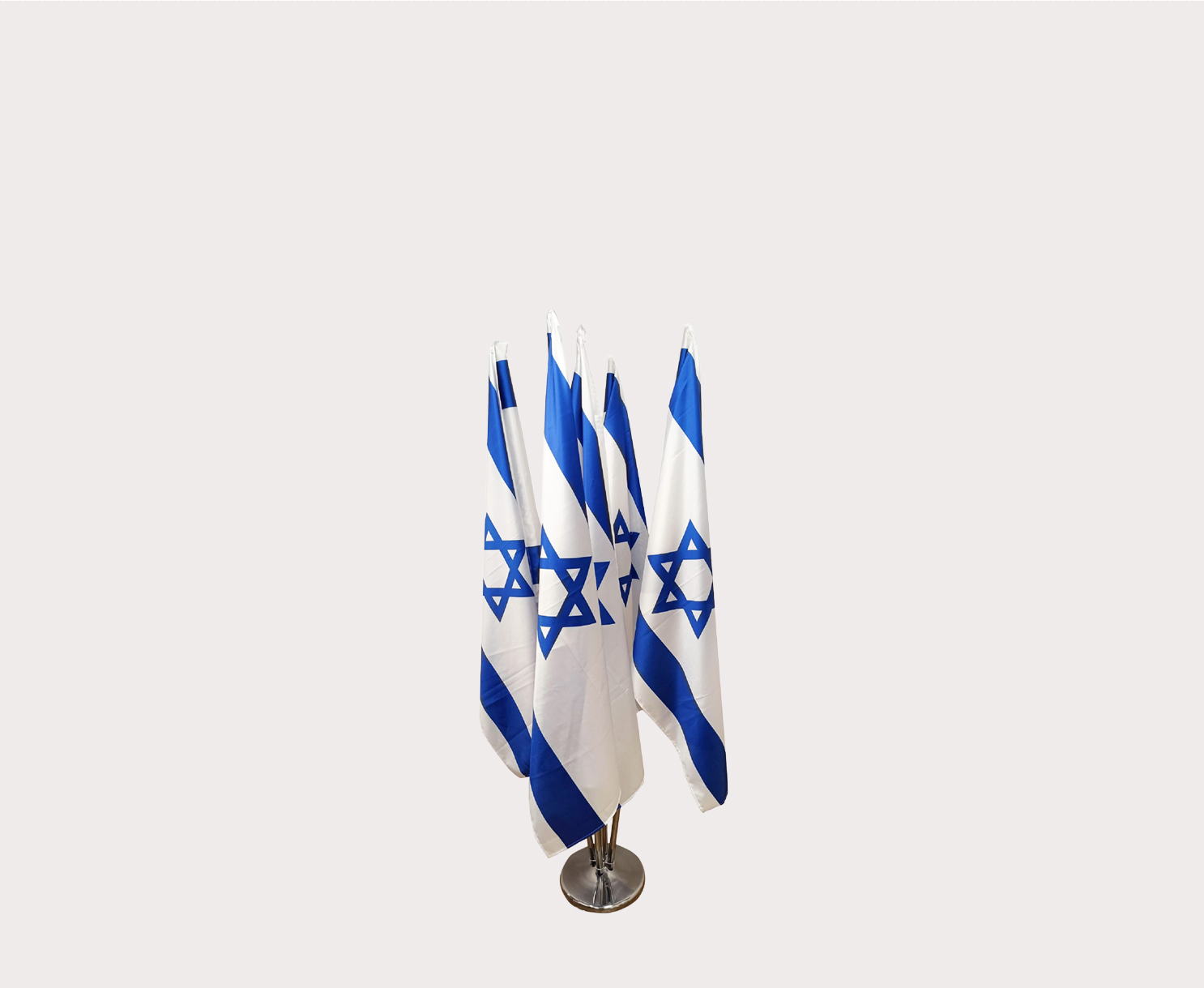 שושנה קטגוריה.jpg,